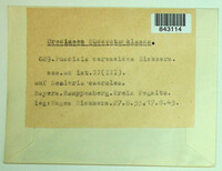 Image Associated With the Occurence